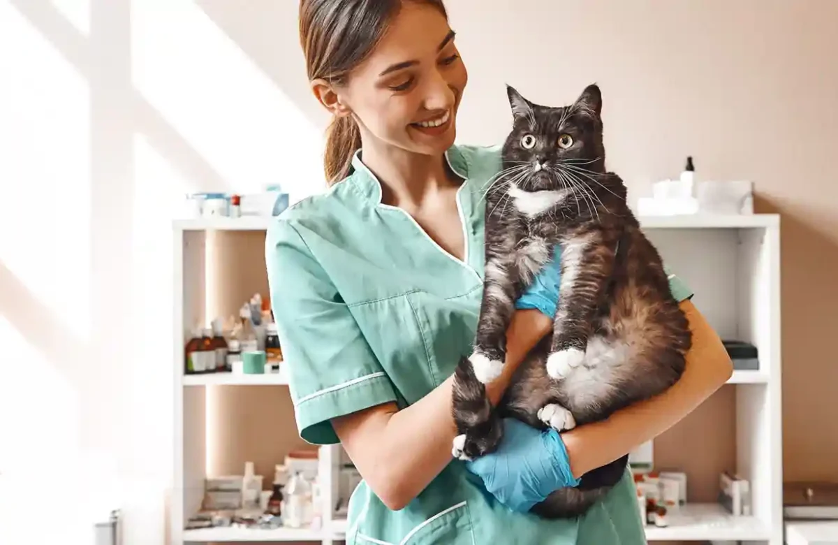 How this weekend’s holiday draws attention to mindfulness